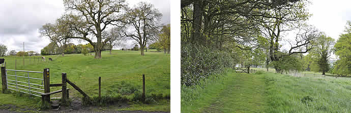 Local Footpaths