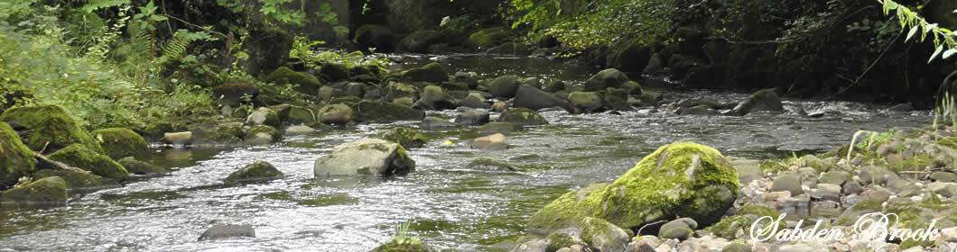 Sabden Brook