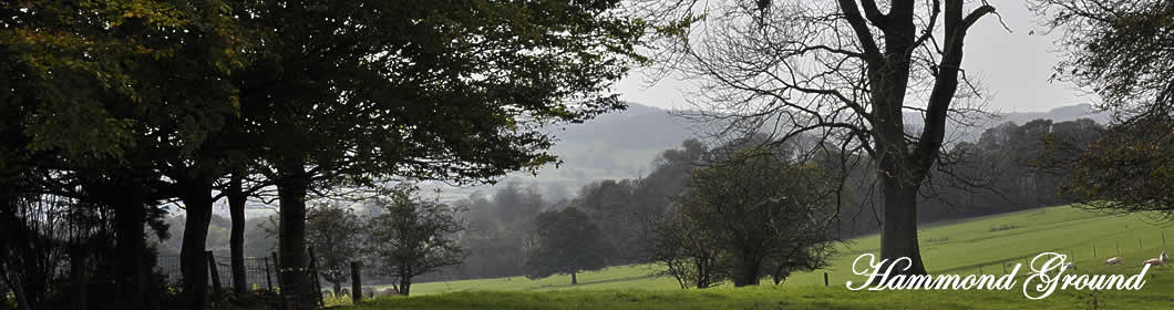 Hammond Ground